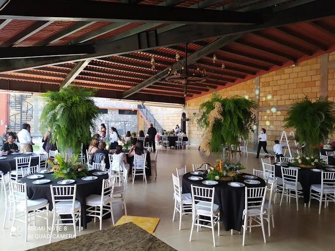 Terraza cubierta de El Realejo con helechos colgantes y mesas redondas